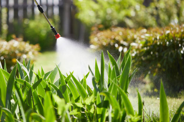 24/7 Emergency Mosquito Control experts in Thruston, KY